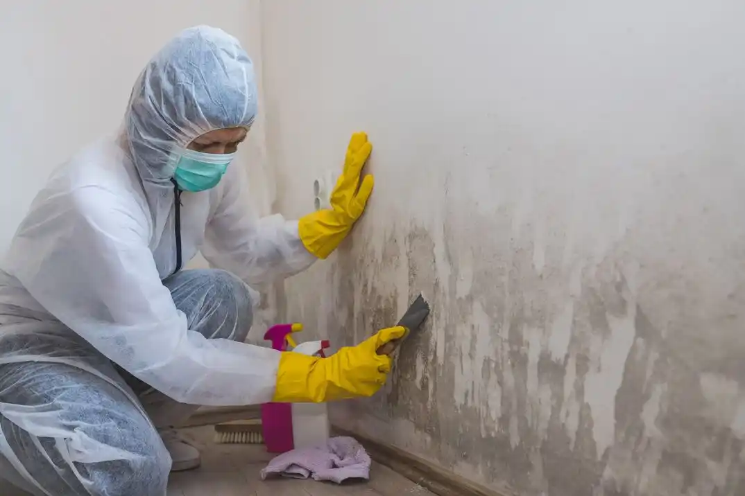 water damage restoration service Bowen Park